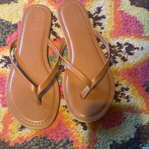 J. Crew Brown Leather Sandals